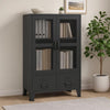 Coy Tall Storage Cabinet | 2 Drawers w 2 Mesh Front Doors | Metal Frame | Black BM339684