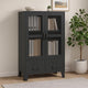Coy Tall Storage Cabinet | 2 Drawers w 2 Mesh Front Doors | Metal Frame | Black BM339684