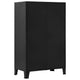 Miry Tall Office Cabinet | 2 Drawers w 2 Mesh Front Doors | Black Steel BM339701