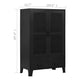 Miry Tall Office Cabinet | 2 Drawers w 2 Mesh Front Doors | Black Steel BM339701