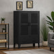 Miry Tall Office Cabinet | 2 Drawers w 2 Mesh Front Doors | Black Steel BM339701