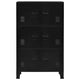 Nix Tall Storage Chest | 6 Doors w 3 Shelves | Matte Black Steel BM339702