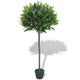 Zora 49 Inch Topiery Artificial Indoor Plant, Green Leaves, Brown Wood