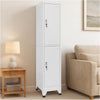 Sonia Rectangular Locker Cabinet w 2 Lockable Doors | Gray Steel