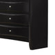 Ica 2pc Wide Dresser and Mirror Set | Chambered Fronts | Black Wood BM339989
