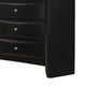 Ica 2pc Wide Dresser and Mirror Set | Chambered Fronts | Black Wood