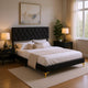 Dle 4pc Queen Bedroom Set | Tufted Black Velvet | Modern Gold Accent