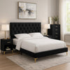 Dle 4pc Queen Bedroom Set | Tufted Black Velvet | Modern Gold Accent