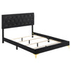 Dle 4pc Queen Bedroom Set | Tufted Black Velvet | Modern Gold Accent