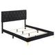 Dle 5pc Queen Bedroom Set | Tufted Black Velvet | Modern Gold Accent