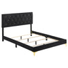 Dle 5pc King Bedroom Set | Tufted Black Velvet | Modern Gold Accents