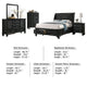 Lila 5 Piece King Bed Set with Storage | Curved Panel Headboard | Black BM340146