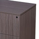 Tia Lateral File Cabinet | 31’’ | 2 Drawers | Driftwood Smoke Gray BM340746