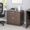 Tia Lateral File Cabinet | 31’’ | 2 Drawers | Driftwood Smoke Gray BM340746