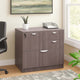 Ley 4 Drawer Lateral File Cabinet | Driftwood Gray Office Storage BM340794