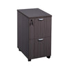 Kery 2 Drawer Mobile Pedestal File Cabinet with Lock | Driftwood Gray BM340811