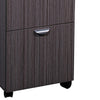 Kery 2 Drawer Mobile Pedestal File Cabinet with Lock | Driftwood Gray BM340811
