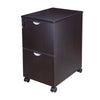 Kery 2 Drawer Mobile Pedestal File Cabinet with Lock | Mocha Brown BM340812
