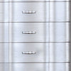 Eleena Tall Dresser Chest | 5 Drawers | Silver Solid Wood | Chrome Metal BM340903