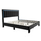 Jiana Full Bed | Charcoal Gray Wool Upholstery | LED Headboard