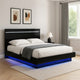 Pero Queen Size Bed | Chrome Accent Headboard | Black LED Footboard BM342292