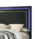 Lati Queen Bed | LED Headboard | Gold Trim and Bracket Legs | Black Wood BM342309