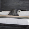 Ashen Queen Bed | LED Headboard | Chrome Metal Legs | Rustic Black Wood BM342314