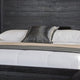 Ashen Queen Bed | LED Headboard | Chrome Metal Legs | Rustic Black Wood BM342314