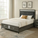 Lito Full Size Bed w Padded Headboard | 2 Footboard Drawers | Gray BM342343