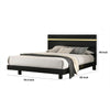 Yoki King Size Bed w Underbed LED | Acrylic Gold Trim | Black Frame BM342348
