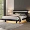 Yoki King Size Bed w Underbed LED | Acrylic Gold Trim | Black Frame