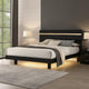 Yoki King Size Bed w Underbed LED | Acrylic Gold Trim | Black Frame