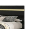 Yoki Full Size Bed w Underbed LED | Acrylic Gold Trim | Black Frame BM342349