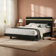 Yoki Full Size Bed w Underbed LED | Acrylic Gold Trim | Black Frame