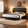 Yoki Full Size Bed w Underbed LED | Acrylic Gold Trim | Black Frame