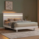 Yoki Queen Size Bed w Underbed LED | Acrylic Gold Trim | White Frame BM342353
