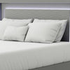 Aliso California King Size Bed | LED Panel Headboard | Metallic Gray BM342375