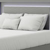 Aliso Queen Size Bed | LED Panel Headboard | Modern Metallic Gray BM342377