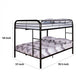 Fegy Full Over Full Bunk Bed |Ladder and Rails | Black Metal Frame BM342402