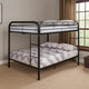 Fegy Full Over Full Bunk Bed |Ladder and Rails | Black Metal Frame BM342402