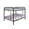 Fegy Full Over Full Bunk Bed |Ladder and Rails | Black Metal Frame BM342402