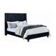 Hiu Queen Size Bed | Wingback Headboard in Black Velvet Like Upholstery BM342419