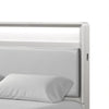 Broy Full Size Bed with LED Bookcase Headboard | Champagne Silver Veneer BM342425