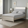 Broy Queen Size Bed with LED Bookcase Headboard | Champagne Silver Veneer