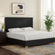 Goldie Queen Size Panel Bed | Black & Gold Pine Wood | Contemporary BM342527