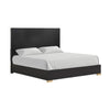Goldie Queen Size Panel Bed | Black & Gold Pine Wood | Contemporary BM342527
