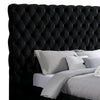 Steph Queen Bed | Black Button Tufted Flannelette Upholstery | XL Headboard BM342590