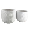 Kena Planter Set of 3 | White Ceramic | Wave Texture Indoor | 13 10 8"
