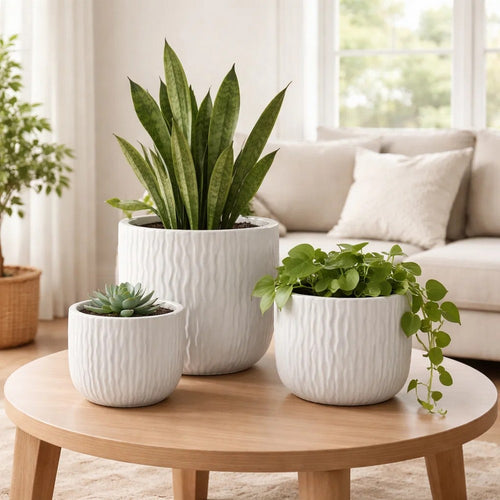 Kena Planter Set of 3 | White Ceramic | Wave Texture Indoor | 13 10 8"