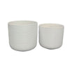 Kena Planter Set of 3 | White Ceramic | Ribbed Texture Pots | 12 10 8"
